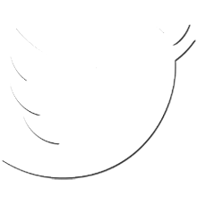 twitter icon logo